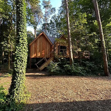 New Unique Treehouses With Hot Tub In Oisterwijk Room photo