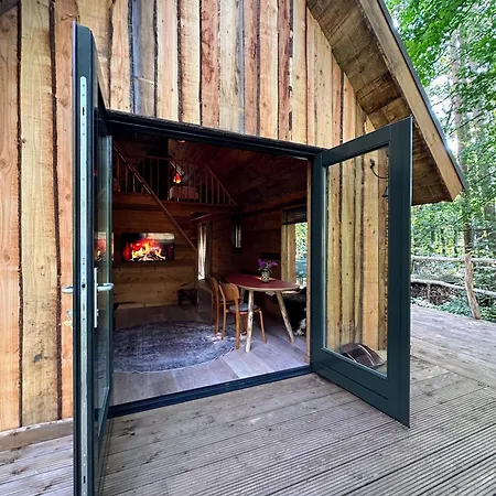 New Unique Treehouses With Hot Tub In Oisterwijk Exterior photo