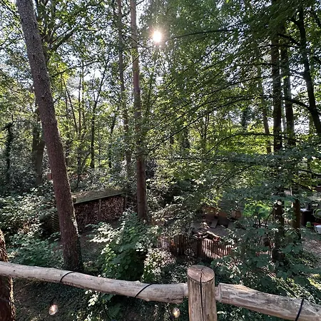 New Unique Treehouses With Hot Tub In Oisterwijk Exterior photo