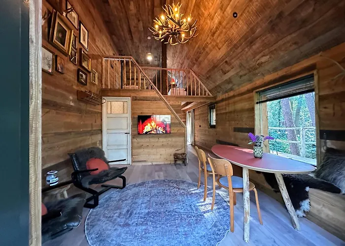 New Unique Treehouses With Hot Tub In Oisterwijk