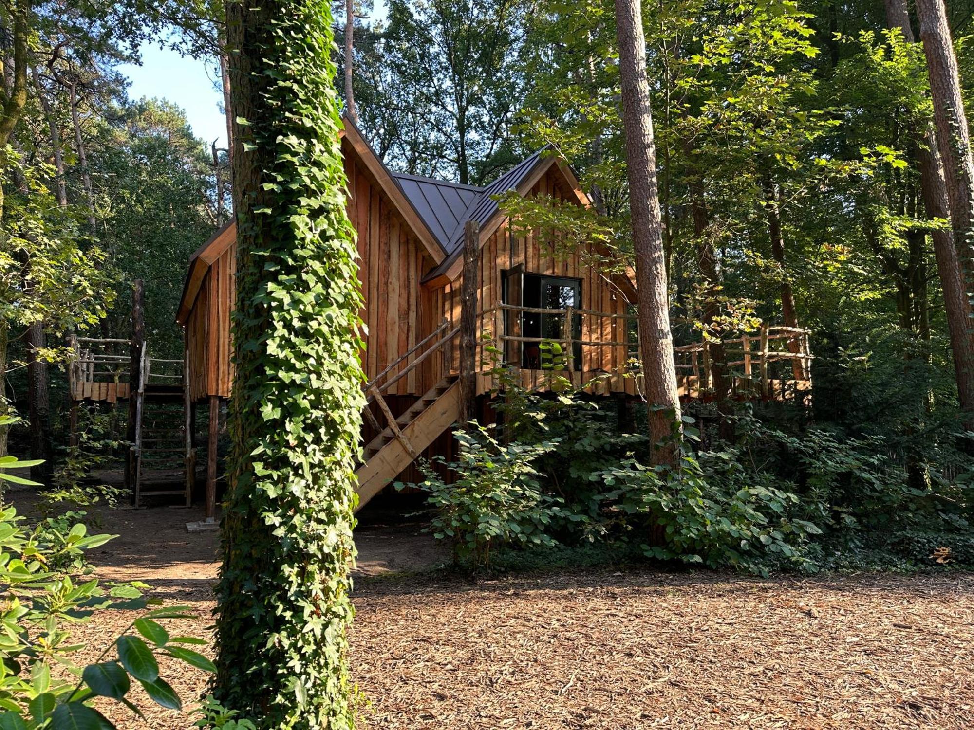 New Unique Treehouses With Hot Tub In Holiday home *