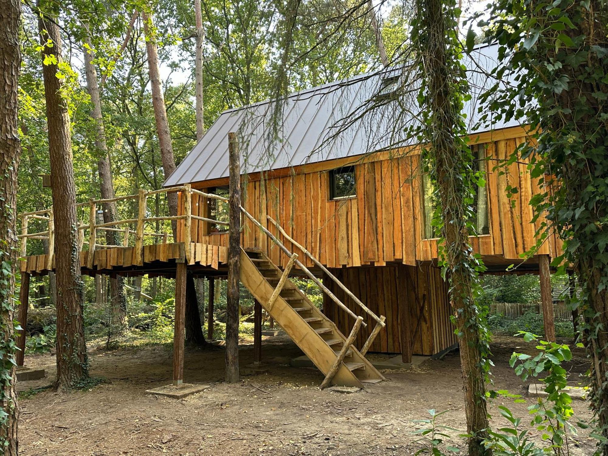 New Unique Treehouses With Hot Tub In Holiday home *